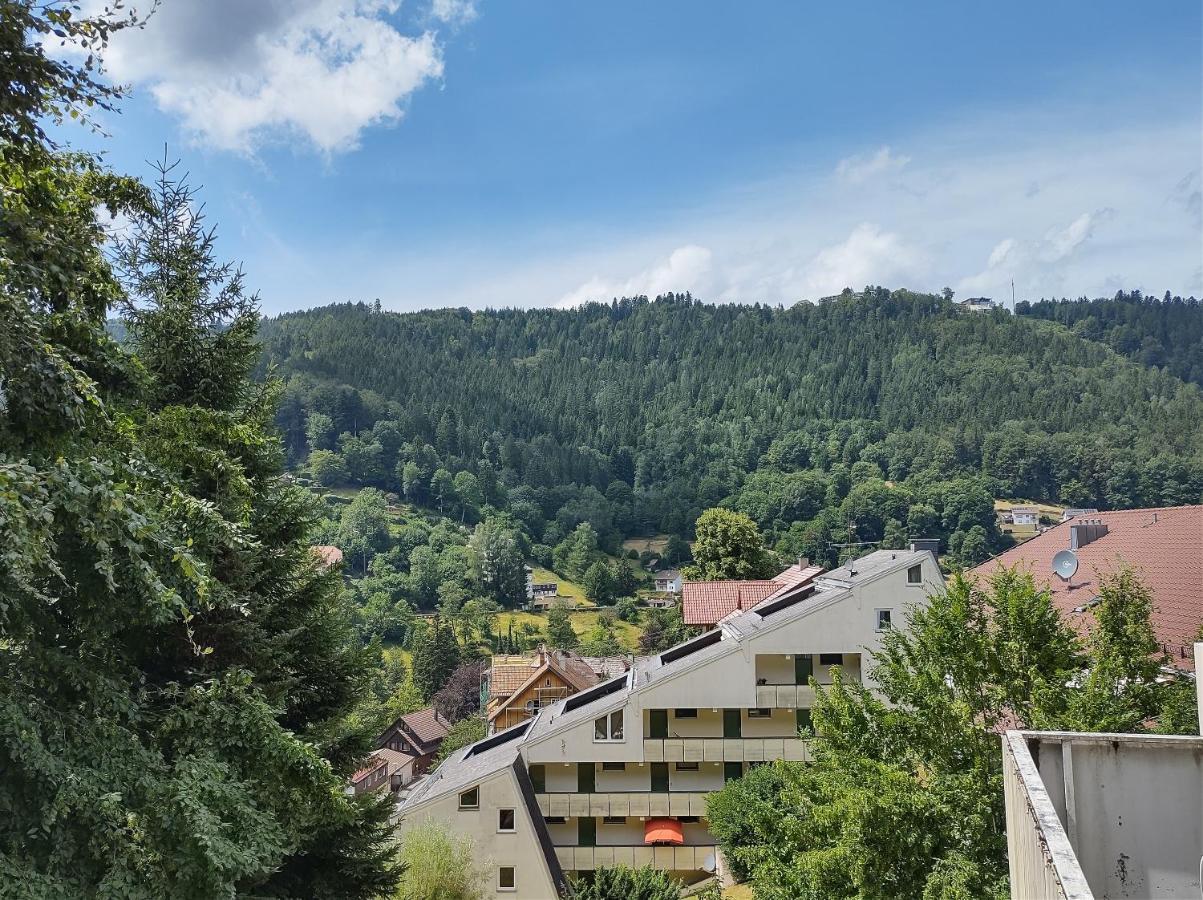 Ein-Zimmer Apartment Mit Aussicht 巴特维尔德巴德 外观 照片